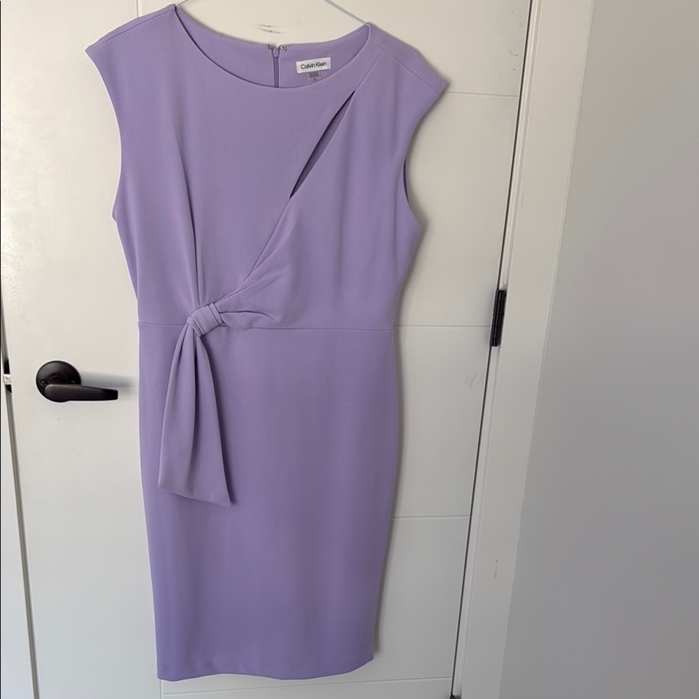 Calvin Klein Women's Purple Dress
